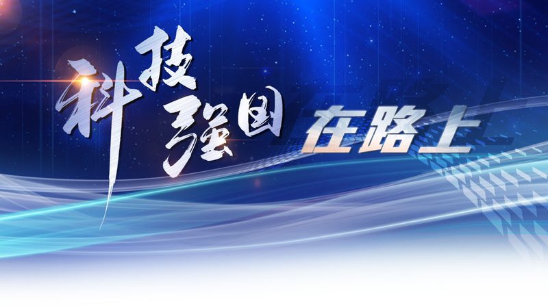 功能对比表：批发采购中的关键考量因素**