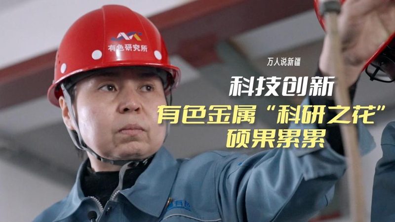 物流与供应链管理的本质区别：解析两大领域的核心差异